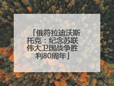 俄符拉迪沃斯托克：纪念苏联伟大卫国战争胜利80周年