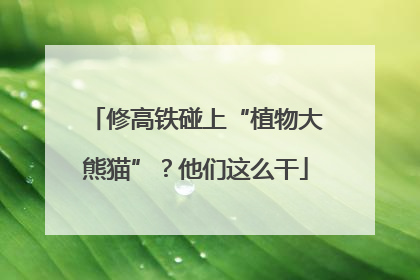 修高铁碰上“植物大熊猫”？他们这么干