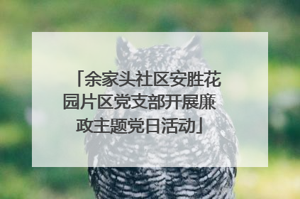 余家头社区安胜花园片区党支部开展廉政主题党日活动