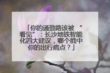 你的通勤路该被 “看见”：长沙地铁智能化四大建议，哪个戳中你的出行痛点？