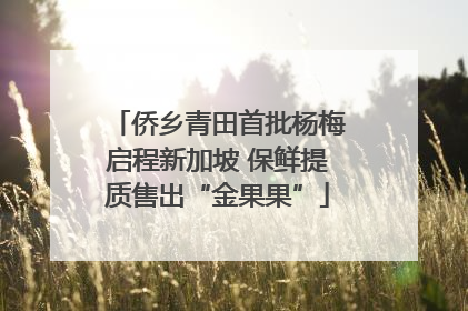 侨乡青田首批杨梅启程新加坡 保鲜提质售出“金果果”