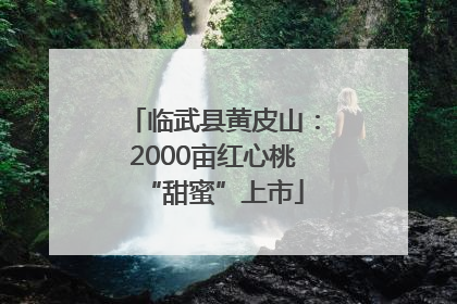 临武县黄皮山：2000亩红心桃“甜蜜”上市