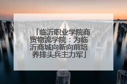 临沂职业学院商贸物流学院：为临沂商城向新向前培养排头兵主力军