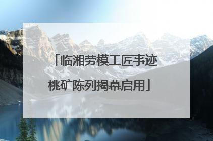 临湘劳模工匠事迹桃矿陈列揭幕启用