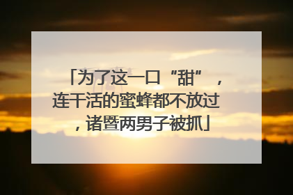 为了这一口“甜”，连干活的蜜蜂都不放过，诸暨两男子被抓