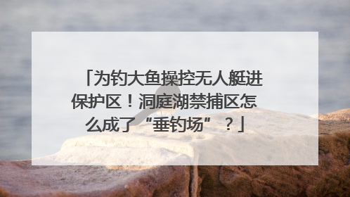 为钓大鱼操控无人艇进保护区！洞庭湖禁捕区怎么成了“垂钓场”？
