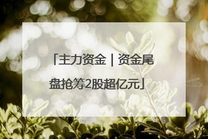 主力资金｜资金尾盘抢筹2股超亿元