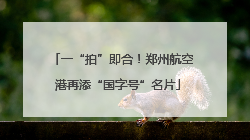 一“拍”即合！郑州航空港再添“国字号”名片