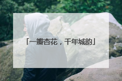 一瓣杏花，千年城韵