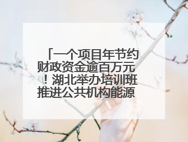 一个项目年节约财政资金逾百万元！湖北举办培训班推进公共机构能源费用托管工作