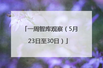 一周智库观察（5月23日至30日）