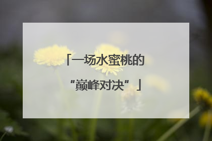 一场水蜜桃的“巅峰对决”