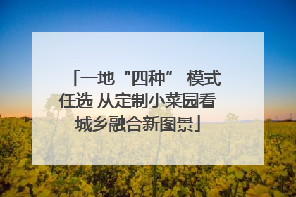 一地“四种” 模式任选 从定制小菜园看城乡融合新图景