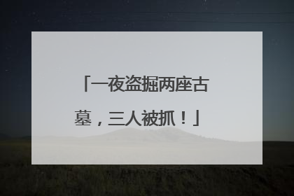 一夜盗掘两座古墓，三人被抓！