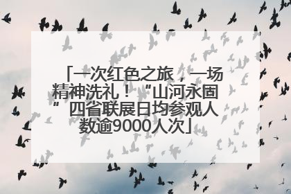 一次红色之旅，一场精神洗礼！“山河永固”四省联展日均参观人数逾9000人次