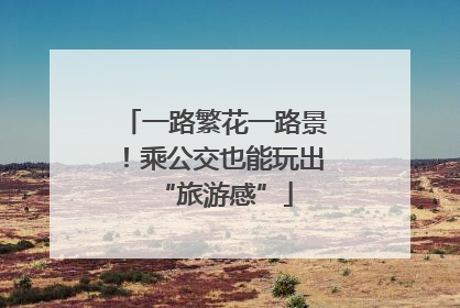 一路繁花一路景！乘公交也能玩出“旅游感”