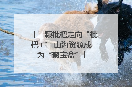 一颗枇杷走向“枇杷+” 山海资源成为“聚宝盆”