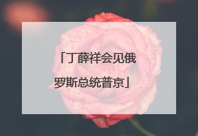 丁薛祥会见俄罗斯总统普京