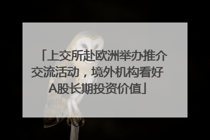 上交所赴欧洲举办推介交流活动，境外机构看好A股长期投资价值