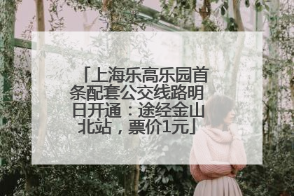 上海乐高乐园首条配套公交线路明日开通：途经金山北站，票价1元