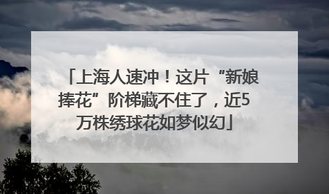上海人速冲！这片“新娘捧花”阶梯藏不住了，近5万株绣球花如梦似幻