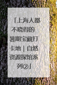 上海人都不晓得的 暑期宝藏打卡地｜自然资源探馆系列②