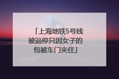 上海地铁5号线被逼停只因女子的包被车门夹住
