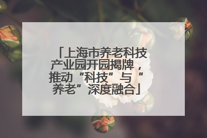 上海市养老科技产业园开园揭牌，推动“科技”与“养老”深度融合