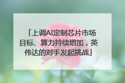 上调AI定制芯片市场目标、算力持续增加，英伟达的对手发起挑战