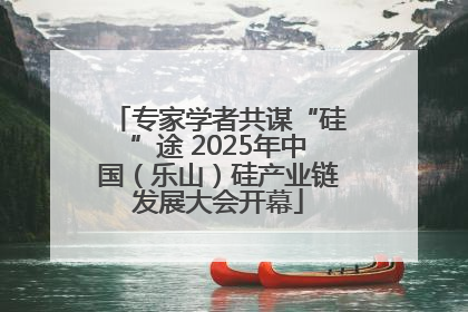 专家学者共谋“硅”途 2025年中国（乐山）硅产业链发展大会开幕