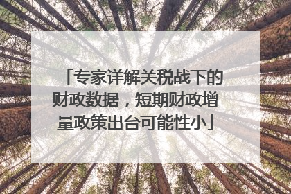 专家详解关税战下的财政数据，短期财政增量政策出台可能性小