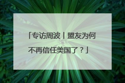 专访周波丨盟友为何不再信任美国了？