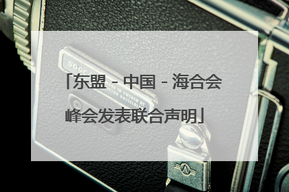 东盟－中国－海合会峰会发表联合声明