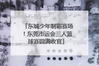 东城少年制霸赛场！东莞市运会三人篮球赛圆满收官