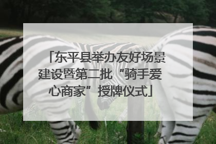 东平县举办友好场景建设暨第二批“骑手爱心商家”授牌仪式