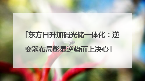 东方日升加码光储一体化：逆变器布局彰显逆势而上决心