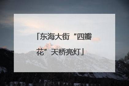 东海大街“四瓣花”天桥亮灯