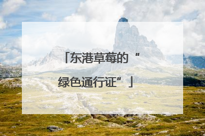 东港草莓的“绿色通行证”