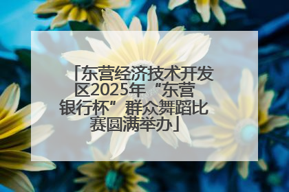东营经济技术开发区2025年“东营银行杯”群众舞蹈比赛圆满举办