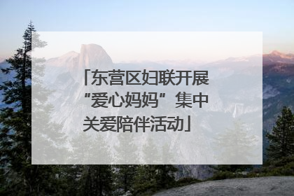 东营区妇联开展“爱心妈妈”集中关爱陪伴活动
