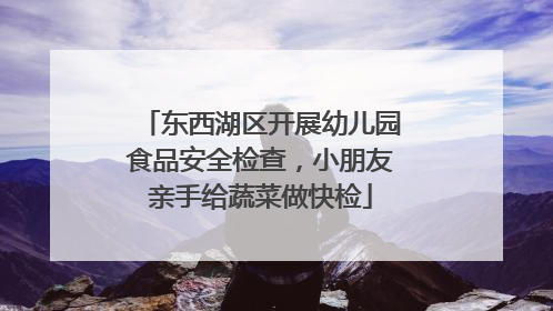 东西湖区开展幼儿园食品安全检查，小朋友亲手给蔬菜做快检