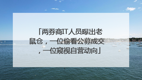 两券商IT人员曝出老鼠仓，一位偷看公募成交，一位窥视自营动向