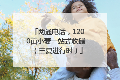 两通电话，1200亩小麦一站式收储（三夏进行时）