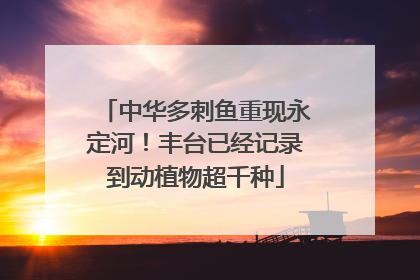 中华多刺鱼重现永定河！丰台已经记录到动植物超千种