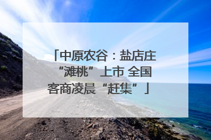 中原农谷：盐店庄“滩桃”上市 全国客商凌晨“赶集”