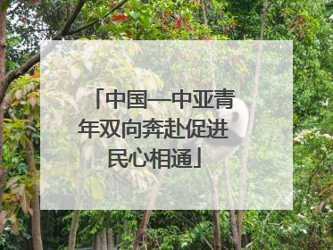 中国—中亚青年双向奔赴促进民心相通