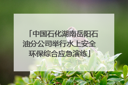 中国石化湖南岳阳石油分公司举行水上安全环保综合应急演练