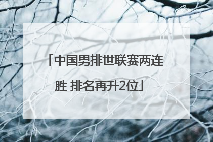 中国男排世联赛两连胜 排名再升2位
