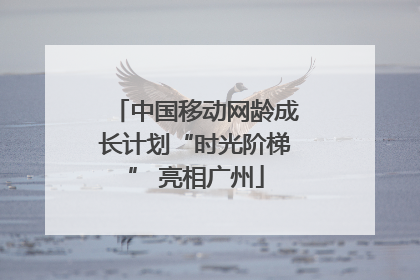 中国移动网龄成长计划“时光阶梯” 亮相广州