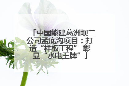 中国能建葛洲坝二公司孟底沟项目：打造“样板工程” 彰显“水电王牌”
